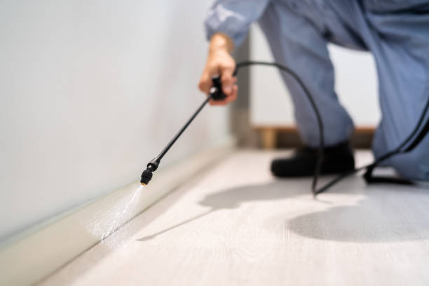Licensed Pest Control service in Fountain, CO - Show Me Pest Control