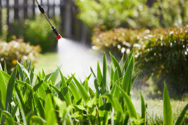 24/7 Emergency Mosquito Control experts in Fountain, CO